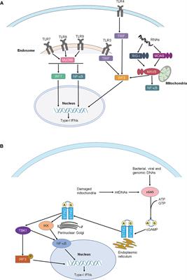 Interferons in Pain and Infections: Emerging Roles in Neuro-Immune and Neuro-Glial Interactions